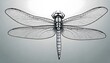 Dragonfly (93)
