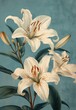 Beautiful White Lilies on Blue Background with Leaves and Petals Floral Painting for Backgrounds, Greeting Cards, Prints