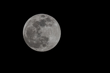 Wall Mural - full moon also known as the worm moon, taken march 25, 2024 over ottawa, canada