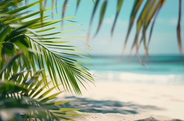 Wall Mural - A palm tree on a beautiful beach with white sand and the ocean in the background. Tropical summer vacation in paradise concept.