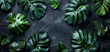 Textures of abstract black leaves for tropical leaf background. 3d