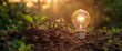 Light bulb with a growing plant inside and a glowing sun on a blurred green background of soil, symbolizing new life in an ecofriendly energy concept