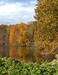Country pond in beautiful autumn colors