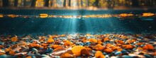 Fallen Leaves Fall Down Into River Floor, Crystal Clear Water, Underwater Scenery, Beautiful Nature Background, Generative Ai