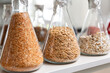 Samples of  encrustied and processed grains in a glass test tubes in agrochemistry lab.