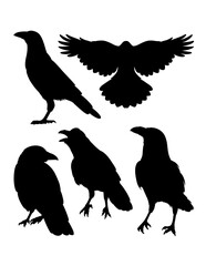 Wall Mural - Crow bird pose poultry animal silhouette