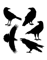 Wall Mural - Crow bird poultry animal silhouette