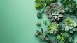 Miniature succulent plants background. Top view succulent cactus, gardening, horticulture theme.