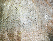 The fabric of the skirt with sequins and sequins.