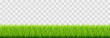 Green vector grass isolated on png background. Spring green grass, lawn. Summer nature decoration
