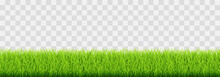 Green Vector Grass Isolated On Png Background. Spring Green Grass, Lawn. Summer Nature Decoration