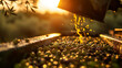 An image capturing the moment olives are poured into an industrial press with a background of the sun setting over an olive grove
