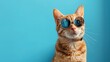 delightful dark striped cat ginger feline with round shades turning away against blue background
