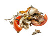 Organic food scraps pile isolated on transparent