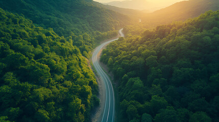 Wall Mural - A winding road in a green forest.