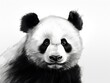 A panda bear with a black and white face is staring at the camera
