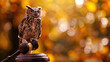 A blindfolded owl with diamond eyes, perched atop a golden gavel, guiding the lost to find fairness in the forest of laws.