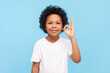 © khosrork - Portrait of cute smiling positive little boy with curly hair standing showing ok sign okay gesture approved symbol expressing happiness. Indoor studio shot isolated on blue background.