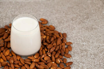 Wall Mural - Almond nut milk in a glass on a gray background, copy space for text