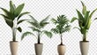 various types of plants in pots in high resolution and high quality on transparent background HD