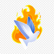 Pentecost dove with fire flames illustration on transparent background