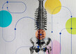 © IKON Images - Connections to human spine
