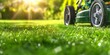Closeup of a green lawn mower in action on a wel. Concept Landscaping, Gardening, Lawn Care