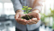 © Oleksiy - Business hands giving pot with green plants to each other are the symbol of green business company on blurred white office background