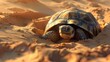 Desert tortoise burrowing into the sand to escape the midday heat, its sturdy shell providing protection.