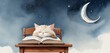   A cat dozes atop an open book atop a wooden chair under a crescent moon