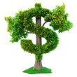 A tree with leaves in the shape of dollar signs on a white or transparent background. Money tree close-up, frontal view. Concept of investment, financial literacy, and savings. Graphic design element.