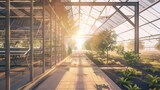 Fototapeta Miasto - A greenhouse with a path leading through it. The path is lined with trees and plants. The sunlight is shining through the glass, creating a warm and inviting atmosphere