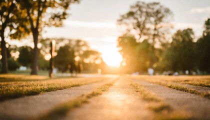 Wall Mural - blurred background of park