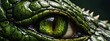 close up of a green lizard. a close up of a green alligator's eye, a photorealistic.