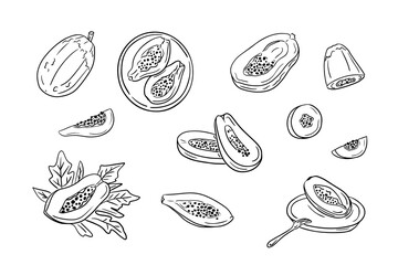 Papaya fruits sketchy outline drawings collection. Vector black contour doodles of pieces of fruits and whole fruits on white background. Ideal for coloring pages, tattoo, pattern