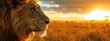 Lion portrait on savanna landscape background and Mount Kilimanjaro at sunset. Panoramic version. AI generated illustration