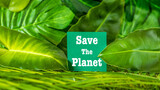 Fototapeta Zwierzęta - Save the planet. Earth Day concept 3D background. Ecology concept. Design with a white note on a sticky note and natural leaves in the background