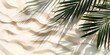 Palm tree is on the sand with its leaves casting a shadow. Concept of relaxation and tranquility, as the palm tree and its shadow create a peaceful atmosphere
