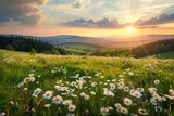 Fototapeta Natura - Sun Setting Over Mountains With Daisies