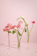 Beautiful flowers in a vase against a pink background. Spring and Summer aesthetic concept.