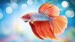 goldfish in aquarium. blue background. Generative AI