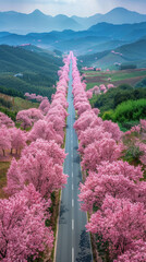 Wall Mural - Rural Highway in Bloom, road adventure, path to discovery, holliday trip, Aerial view