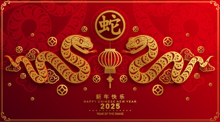 Happy chinese new year 2025 year of the snake with flower,lantern,asian elements red and gold traditional paper cut style on color background. (Translation : happy new year 2025 the snake zodiac )
