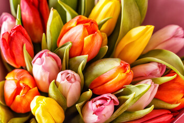  Bouquet of yellow tulip flowers on pink background, panorama, flat lay,copy space,panorama