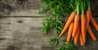 Bunch of fresh carrots with greens on a wooden background. Healthy food and organic farming concept. , Banner with copy space for local farm produce promotion.
