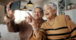 © peopleimages.com - Senior couple, selfie and happy on sofa, hug or talking for choice, check post and point for photography in home. Elderly woman, man and laugh with profile profile, web blog and social media on couch