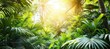 Exotic tropical forest with lush palm leaves and trees, wild jungle concept for panoramic wallpaper