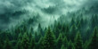 Aerial view of misty fir forest in vintage style. Foggy, Retro Nature Landscape Background 