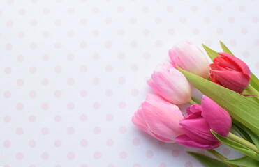 Wall Mural - Bouquet of colorful spring tulips for Mother's Day or Women's Day on a pink background. Copy space.