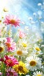 Spring meadow with white and pink daisies, yellow dandelions under sunny blue sky, copy space